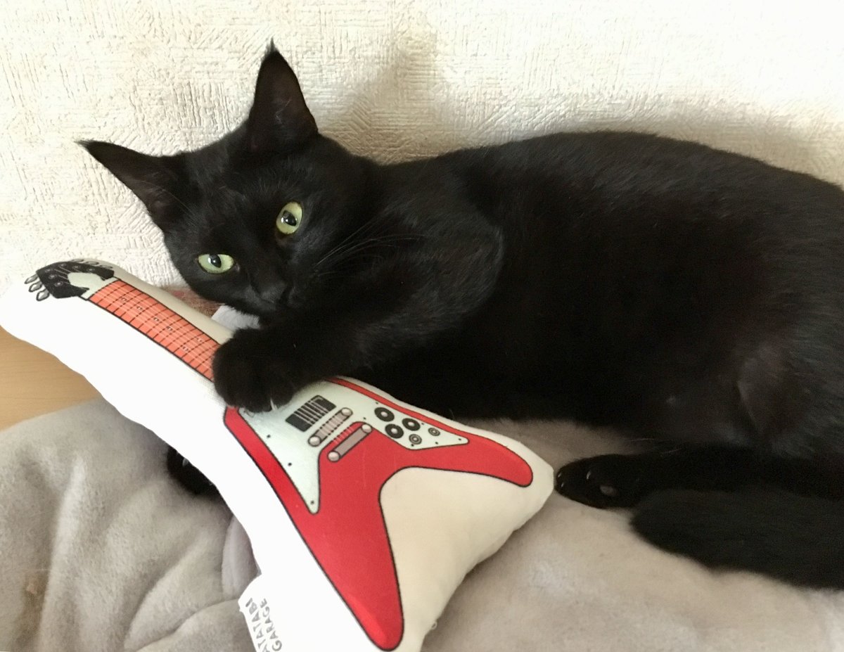 またたびロックンロール ギター（レッド） | MATATABI GARAGE