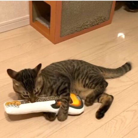 またたびロックンロール　ベース（サンバースト）