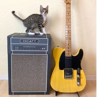 またたびロックンロール　ギターアンプ　チャコール（爪とぎ）