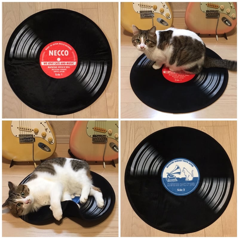 またたびページ Pet'sOne 国産またたび 0.5g×10包 | ペット用品（猫） 通販