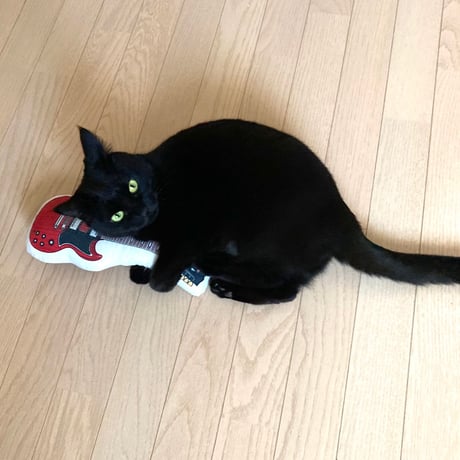またたびロックンロール　ギター（ボルドー）