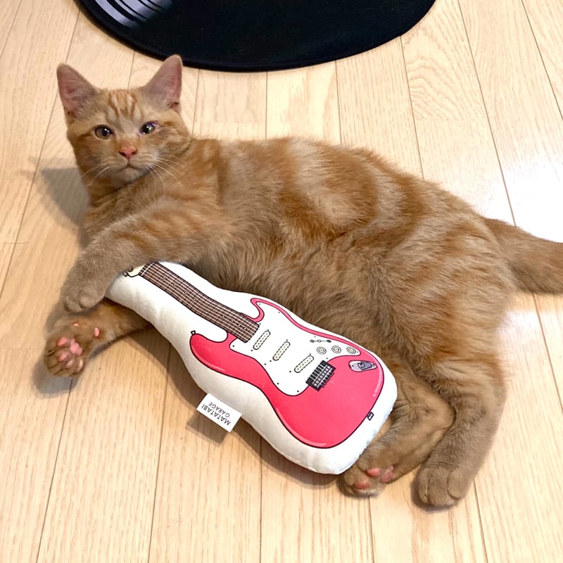 ギターにじゃれるねこチャンチャーム サバトラ じゃれねこチャン
