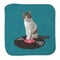 またたびロックンロール 猫とレコード ハンドタオル