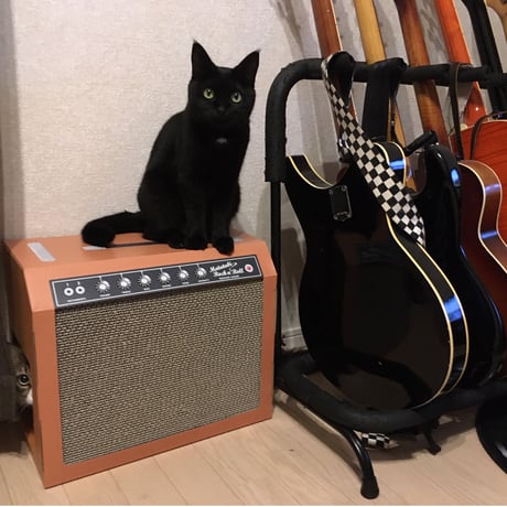 またたびロックンロール　ギターアンプ　オーカー（爪とぎ）