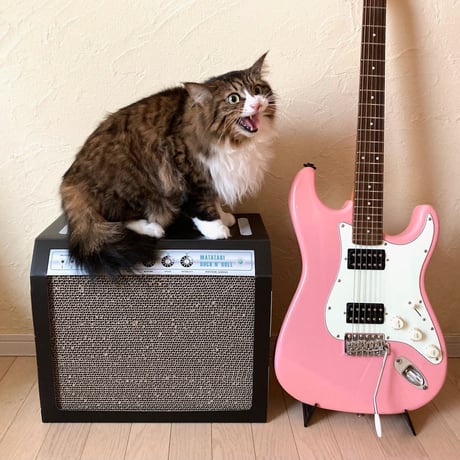 またたびロックンロール　ギターアンプ　ノアール（爪とぎ）