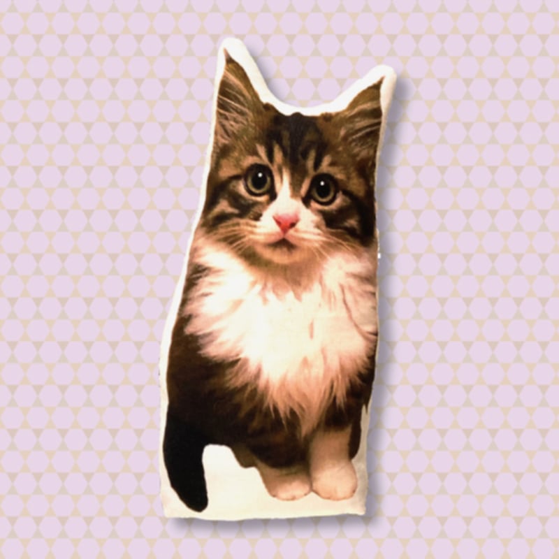 猫 ぬいぐるみ ピタドル ピタゴラスプロダクション ぴたまる