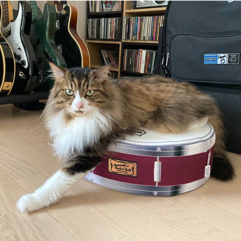 足萎えの羊 セット POP UP SOX2足セット) シマリス:いちご | Giftpad egift