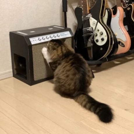 またたびロックンロール　ギターアンプ　ノアール（爪とぎ）