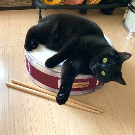 またたびロックンロール　スネアドラム（クッション）