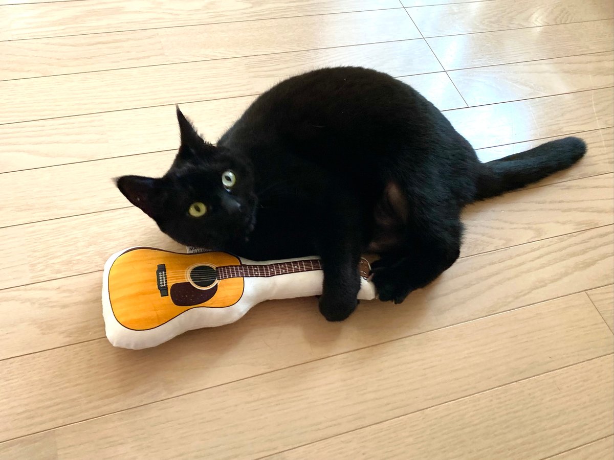 猫のまたたびページ Amazon | アースペット またたびトイ ねこモテ スリスリニャー