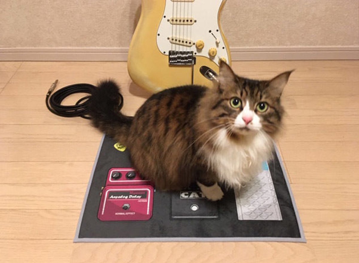 猫とかぼちゃのアートトレイ　テーブルマット　ポリプロピレン　MONZA R2S fit=scale-down,w=1200