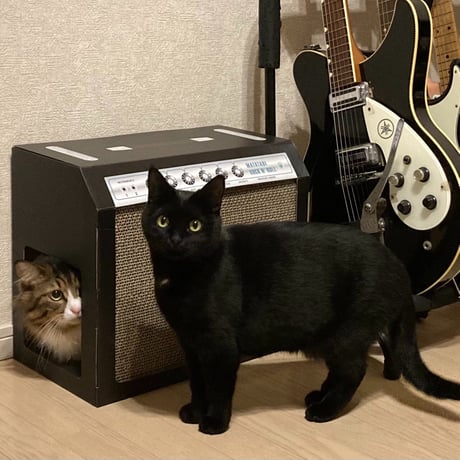 またたびロックンロール　ギターアンプ　ノアール（爪とぎ）