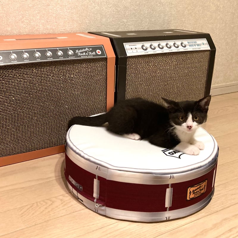 またたびロックンロール スネアドラム（クッション）× 2個セット