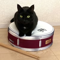 またたびロックンロール　スネアドラム（クッション）