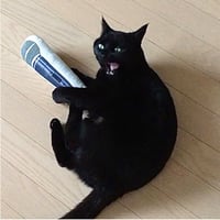 またたびロックンロール　マイク（ヴォーカル）