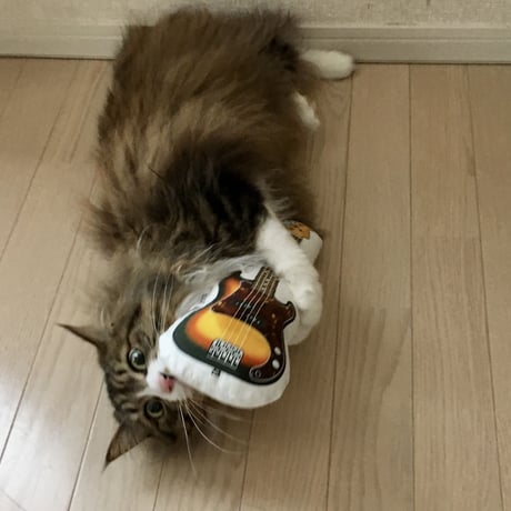 またたびロックンロール　ベース（サンバースト）