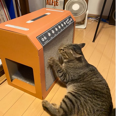 またたびロックンロール　ギターアンプ　オーカー（爪とぎ）
