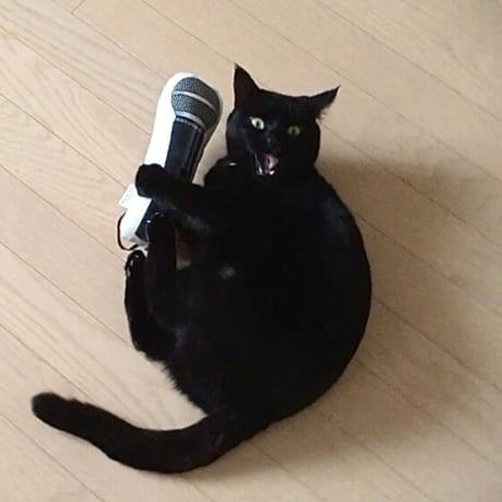 またたびロックンロール　マイク（ヴォーカル）