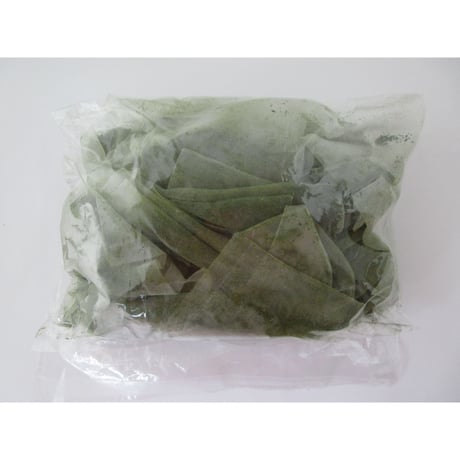 水出し煎茶ティーバッグ 　(5g x 50個)