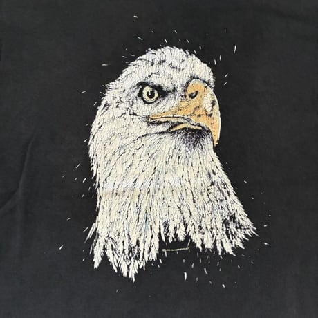 【From USA】90s old/vintage 「Eagle」 Print Tee / used / 古着
