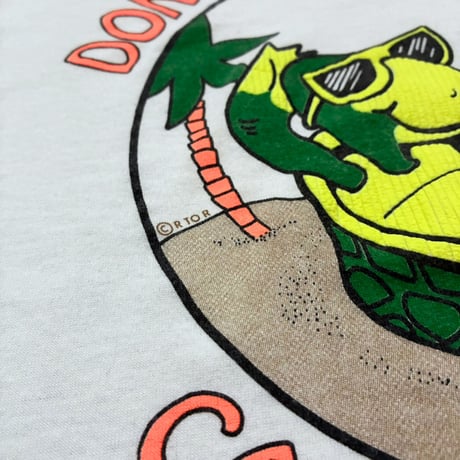 【From USA】old/vintage 「Sir Turtle 」 Print Tee / used / 古着