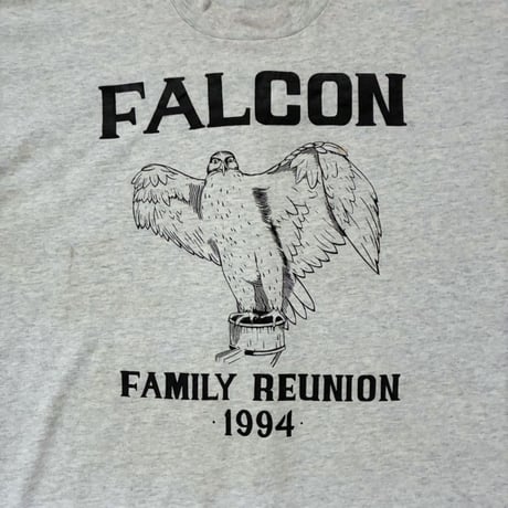 【From USA】90s old/vintage 「FALCON」 Print Tee / used / 古着