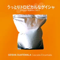 【7.2発送予定 / ゲイシャ👑】グアテマラ カスカーダ・エンカンターダ 1kg アルミパック *受注生産 / Roast to order