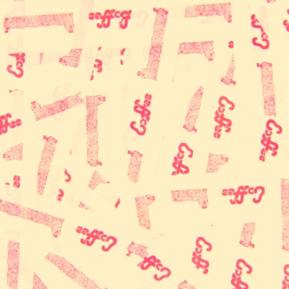 5d7706058606481b44c4ac8b