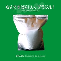 【6.11発送予定】ブラジル カショエイラ・ダ・グラマ 1kg アルミパック *受注生産/Roast to order