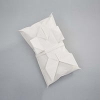 CUSHION・分身