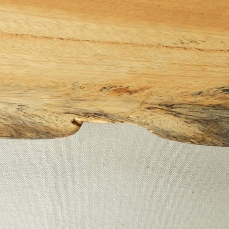 [TRAITS ]   ZEBRAWOOD-02
