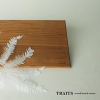 [TRAITS ]   TEAK-01