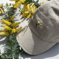 mimosa