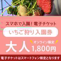 ☆数量限定☆いちご狩り入園券（4月1日～分）　大人（中学生以上）　オンライン購入特典付き