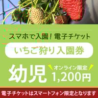 ☆数量限定☆いちご狩り入園券（3月10日～分）　幼児（3歳以上）　オンライン購入特典付き