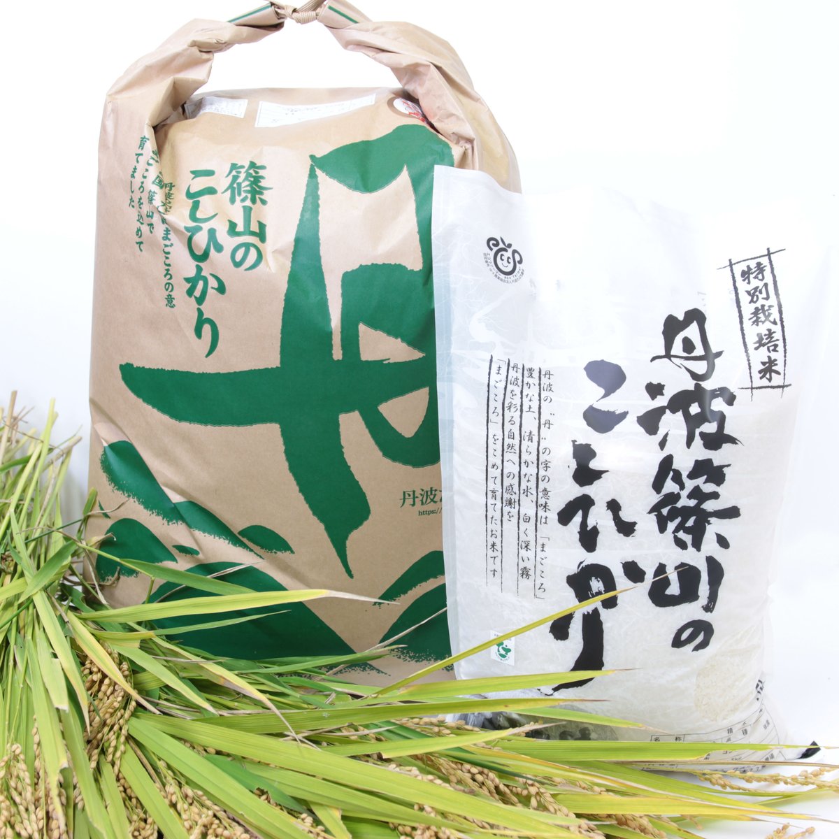 特別栽培米　5㎏　玄米　令和5産丹波篠山のこしひかり　丹波たぶち農場