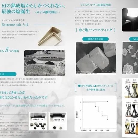 メガソルトパンフレット