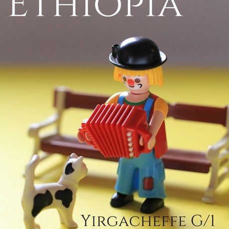 エチオピア イルガチェフェG1 ベレカ