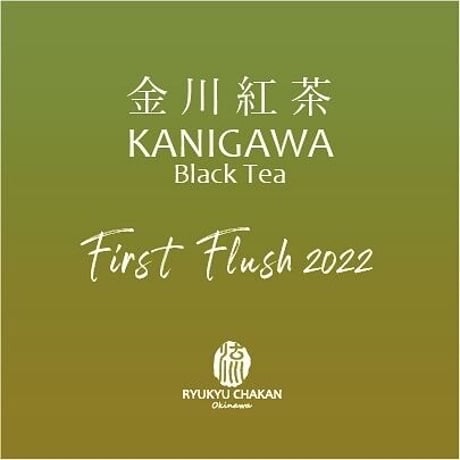 金川紅茶2022年ファーストフラッシュ