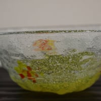 沖縄ガラス　アワハナミコバチ