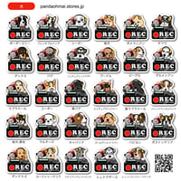 ドラレコステッカー 犬  dog ドッグ  — ドライブレコーダー　ステッカー