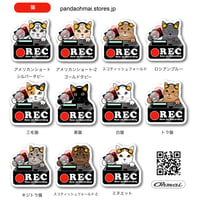 ドラレコステッカー -猫  CAT ネコ-  ドライブレコーダー ステッカー