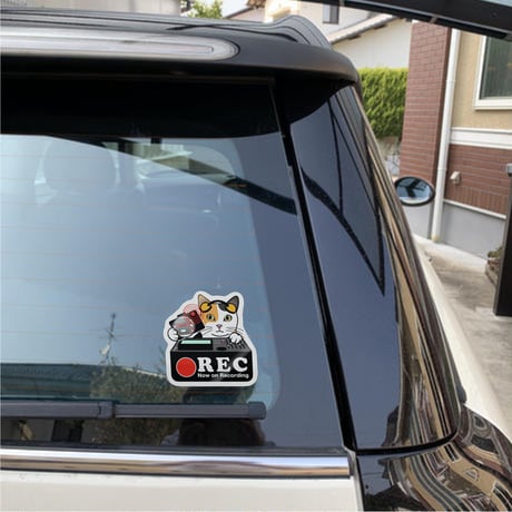 ドラレコステッカー -猫  CAT ネコ-  ドライブレコーダー ステッカー