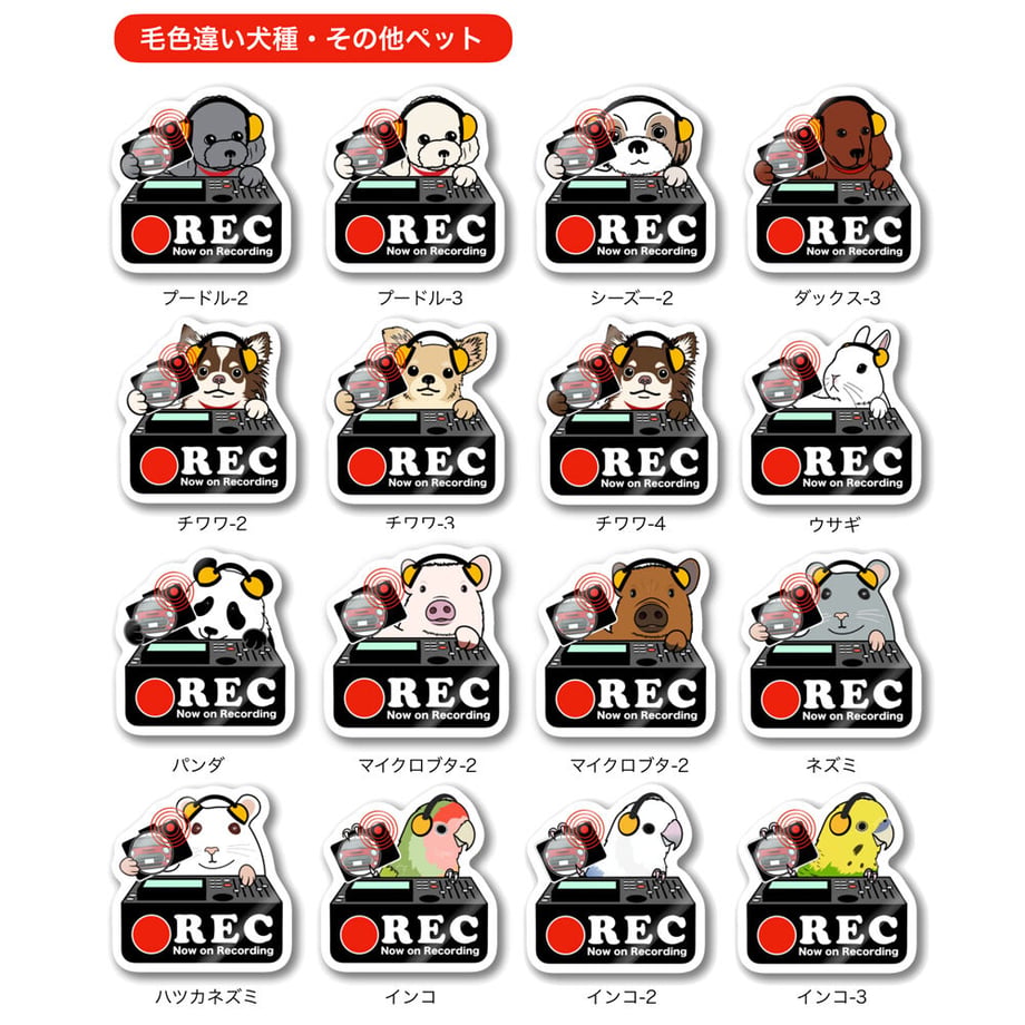 5f714c608f2ebd46c5b52756
