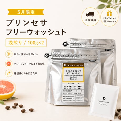 CATEGORY 個性的 | ただいま通販