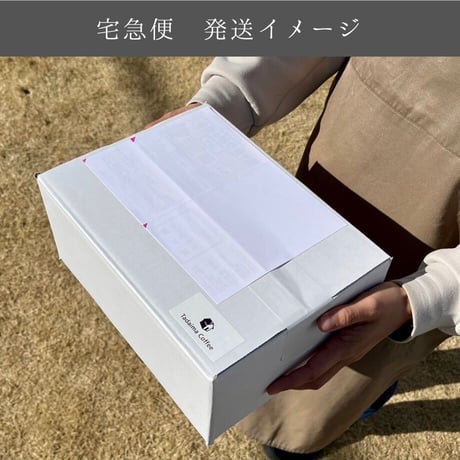 円錐型 V60用ペーパーフィルター01W 100枚（酸素漂白）