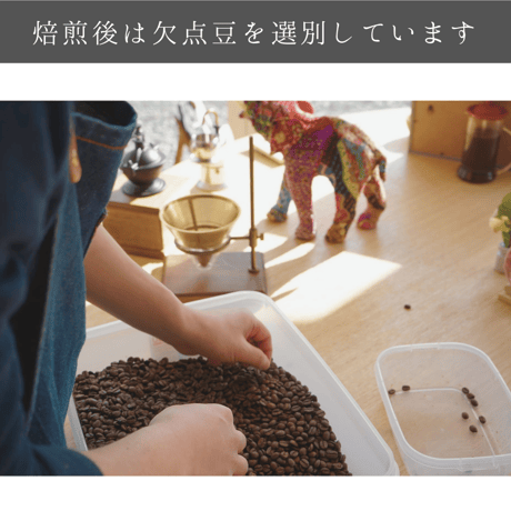 【中煎り】グアテマラ フロレンシア　100g