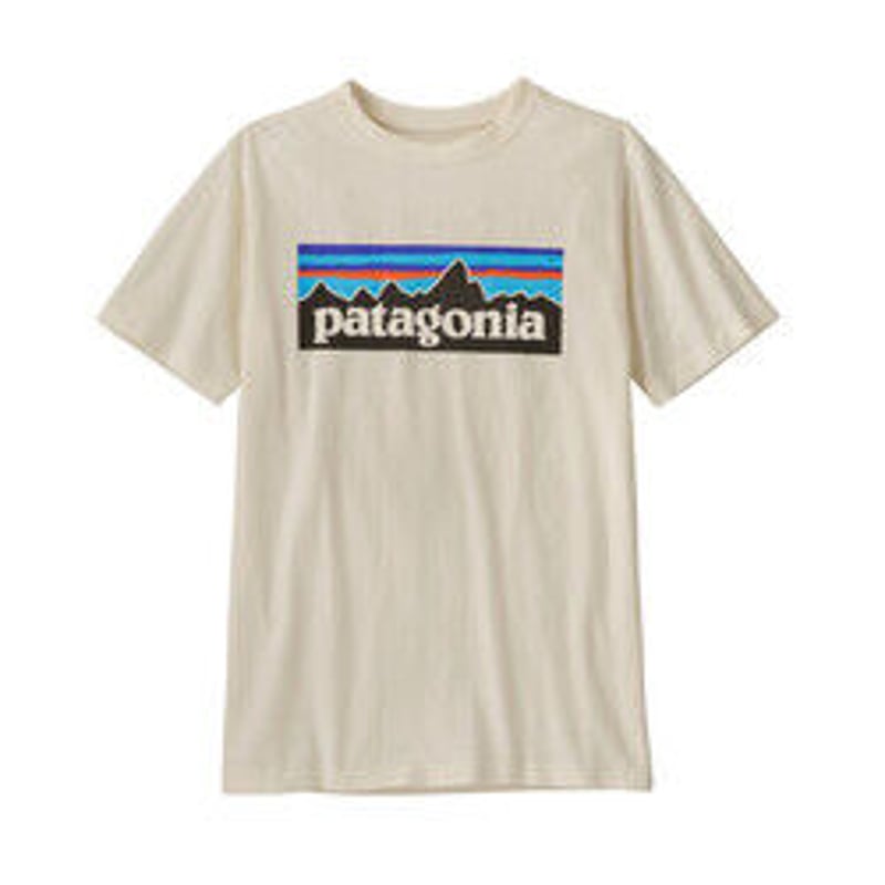 メンズpatagonia Tシャツ P-6 Logo Organic ホワイト M