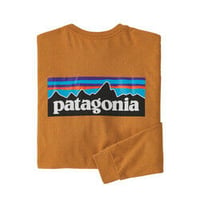 Patagonia(パタゴニア)レディース対応メンズ・ロングスリーブ・P-6ロゴ・レスポンシビリティー【30&80-#38518-CLOO】