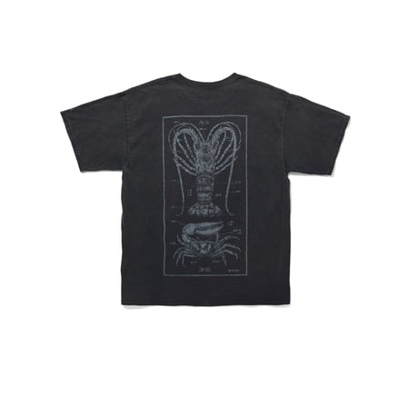 BILLBOARD(ビルボード) -SUN FADED PRINT T-SHIRTS "S.F.T.CO."(BLACK)